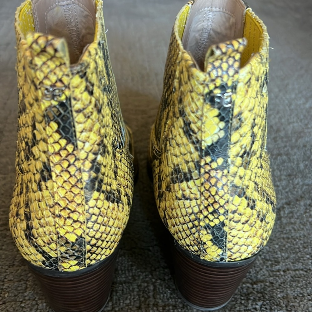 Women’s Gorgeous Sam Edelman Winona Booties Western Size 11 Black Yellow Snake - Picture 3 of 16
